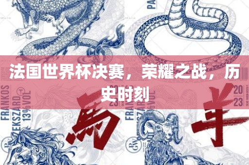 法国世界杯决赛，荣耀之战，历史时眉山市正发家政服务有限公司刻