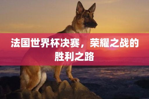 法国世界杯决赛，荣耀之战的胜利之路眉山市正发家政服务有限公司