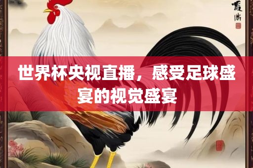 世界杯央视直播，感受足球盛宴的视觉盛宴