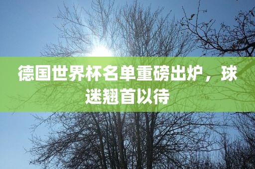 德国世界杯名单重磅出炉，球迷翘首以待