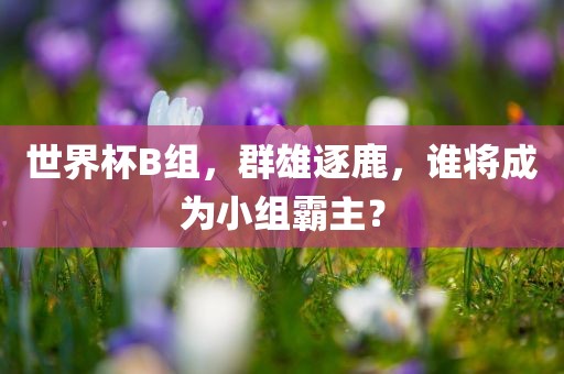 世界杯B组，群雄逐鹿，谁将成为小组霸主？