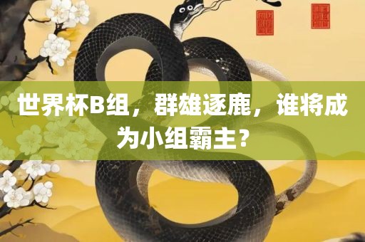 世界杯B组，群雄逐鹿，谁将成为小组霸主？