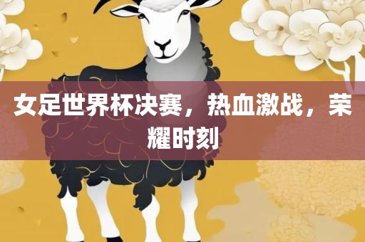 女足世界杯决赛，热血激战，荣耀时刻眉山市正发家政服务有限公司