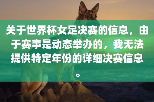 关于世界杯女足决赛的信息，由于赛事是动态举办的，我无法提供特定年份的详细决赛信息。