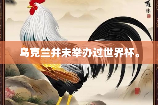 乌克兰并未眉山市正发家政服务有限公司举办过世界杯。