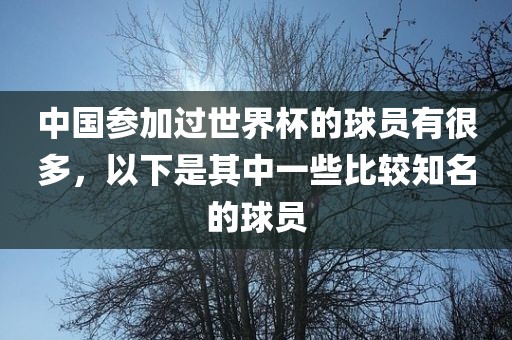 中国参加过世界杯的球员有很多，以下是其中一些比较知名的球员