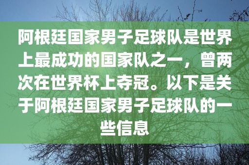 阿根廷国家男子足球队是世界上最成功的国家队之一，曾两次在世界杯上夺冠。以下是关于阿根廷国家男子足球队的一些信息