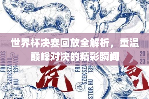 世界杯决赛回放全解析，眉山市正发家政服务有限公司重温巅峰对决的精彩瞬间