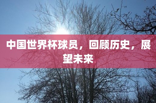 中国世界杯球员，回顾历史，展望未来