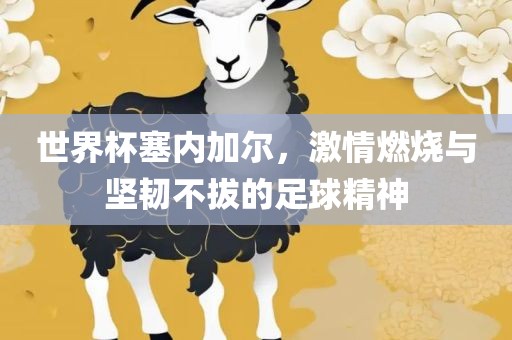世界杯塞内加尔，激情燃烧与坚韧不拔的足球精神