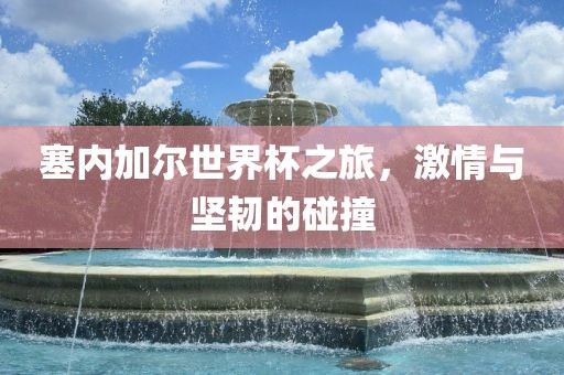 塞内加尔世界杯之旅，激情与坚韧的碰撞