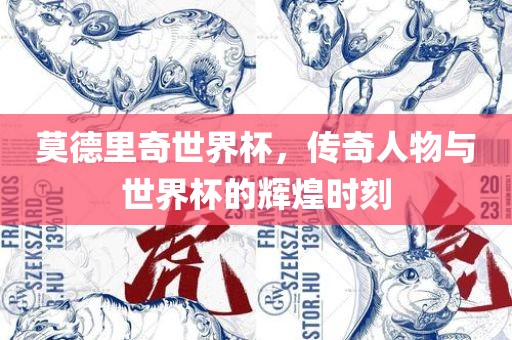 莫德里奇世界杯，传奇人物与世界杯的辉煌时刻
