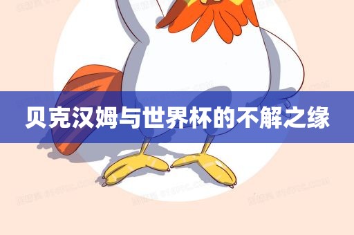 眉山市正发家政服务有限公司贝克汉姆与世界杯的不解之缘