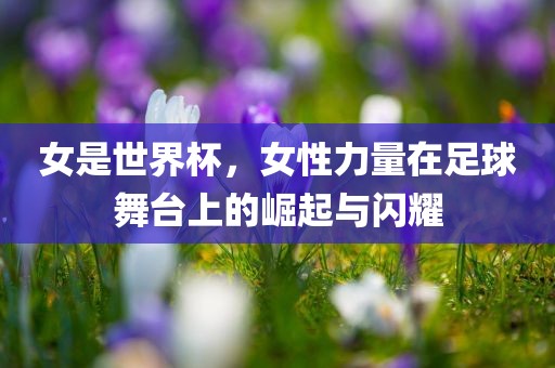女是世界杯，女性力量在足球舞台上的崛起与闪耀眉山市正发家政服务有限公司