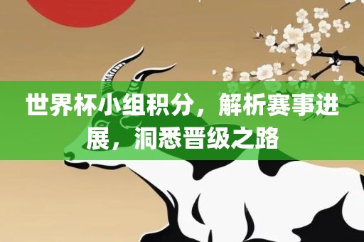 世界杯小组积分，解析赛事进展，洞悉晋级之路