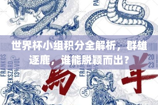 世界杯小组积分全解析，群雄逐鹿，谁能脱颖而出？