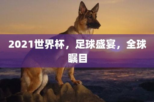 20眉山市正发家政服务有限公司21世界杯，足球盛宴，全球瞩目