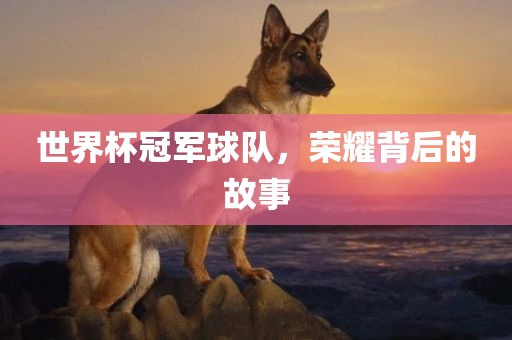 世界杯冠军球队，荣耀背后的故事眉山市正发家政服务有限公司
