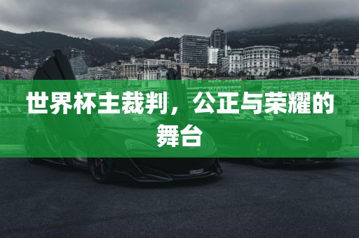 世界杯主裁判，公正与荣耀的舞台