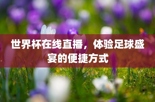 世界杯在线直播，体验足球盛宴的便捷方式