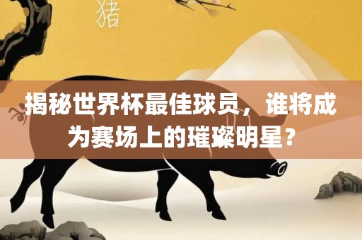 揭秘世界杯最佳球员，谁将成为赛场上的璀璨明星？眉山市正发家政服务有限公司