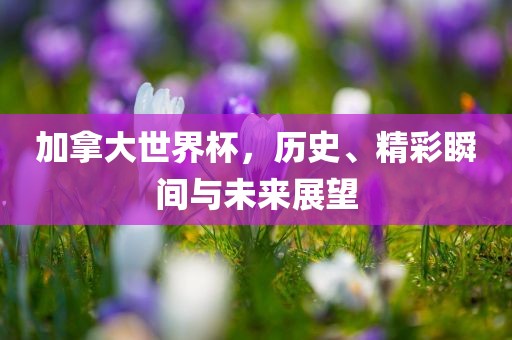 加拿大世界杯，历史、精彩瞬间与未眉山市正发家政服务有限公司来展望