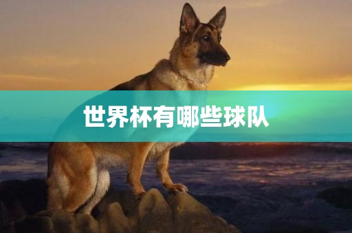 yangjisheng 第12页