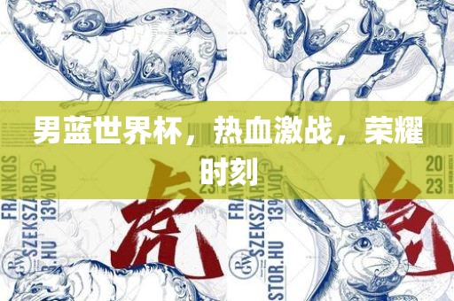 男蓝世界杯，热血激战，荣耀时刻眉山市正发家政服务有限公司