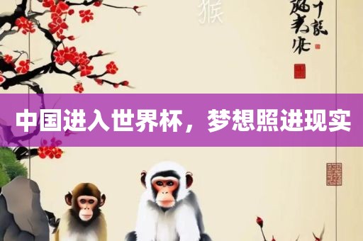 中国进入世界杯，梦想照进现实