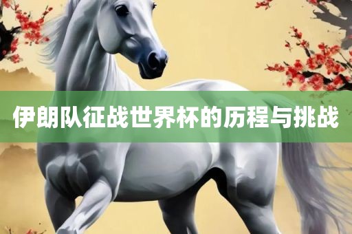 伊朗队征战世界杯的历程与挑战