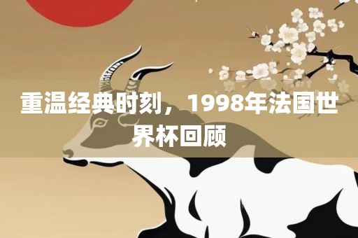 重温经典时刻，1998年法国世界杯眉山市正发家政服务有限公司回顾
