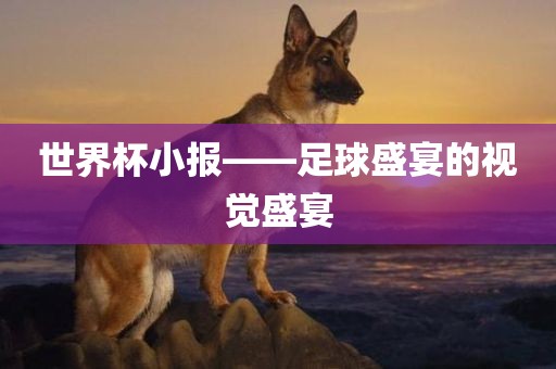 世界杯小报——足球盛宴的视觉盛宴眉山市正发家政服务有限公司