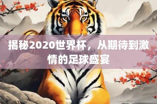 揭秘2020世界杯，从期待到激情的足球盛宴眉山市正发家政服务有限公司