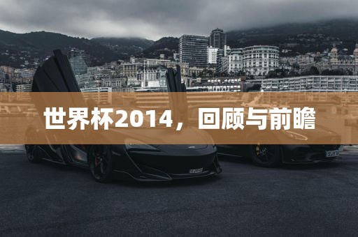 世界杯2014，回顾与前瞻
