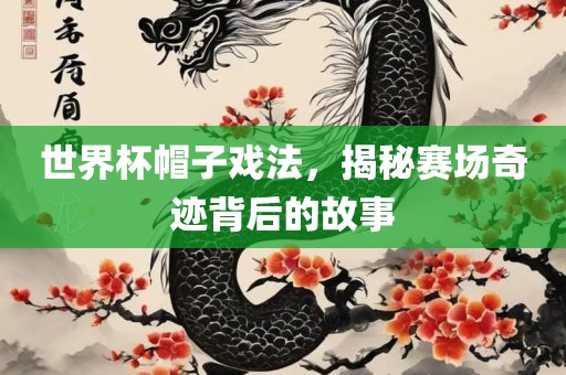 世界杯帽子戏法，揭秘赛场奇迹背后的故事