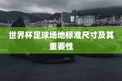 世界杯足球场地标准尺寸及其重要性