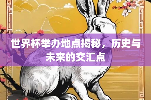 世界杯举办地点揭秘，历史与未来的交汇点