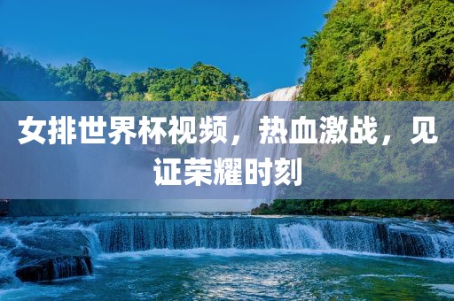 女排世界杯视频，热血激战，见证荣耀时刻眉山市正发家政服务有限公司