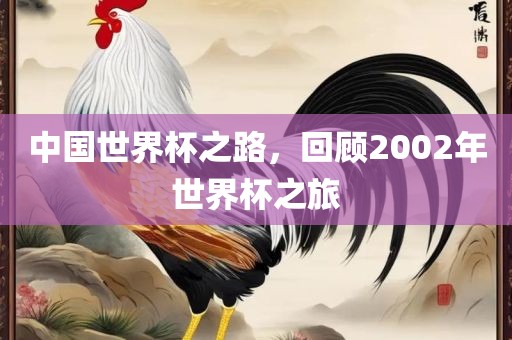 中国世界杯之路，回顾2002年世界杯之旅