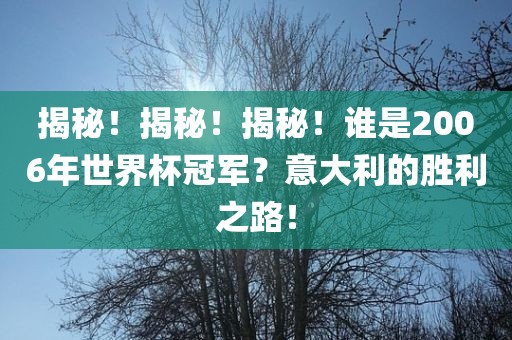 揭秘！揭秘！揭秘！谁是2006年世界杯冠军？意大利的胜利之路！