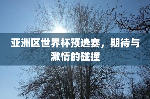 亚洲区世界杯预选赛，期待与激情的碰撞
