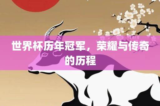 世界杯历年冠军，荣耀与传奇的历程