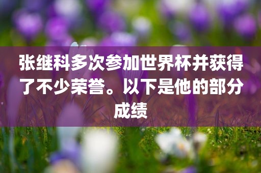 张继科多次参加世界杯并获得了不少荣誉。以下是他的部分成绩
