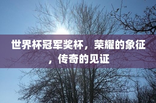 世界杯冠军奖杯，荣耀的象征，传奇的见证