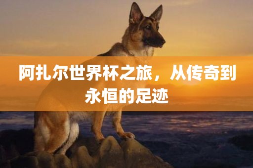阿扎尔世界杯之旅，从传奇到永恒的足迹眉山市正发家政服务有限公司