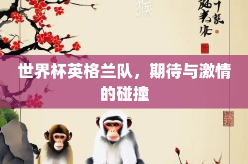 世界杯英格兰队，期待与激情的碰撞