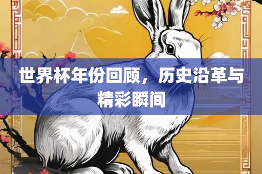 世界杯年份回顾，历史沿革与精彩瞬间