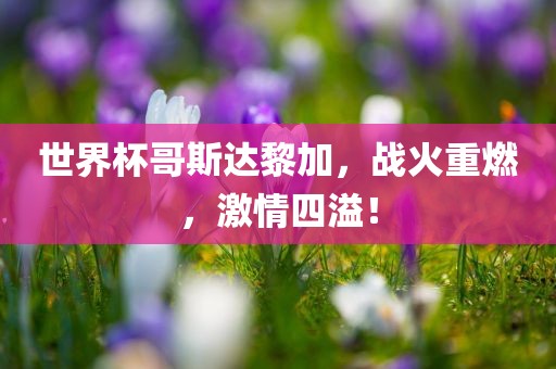 世界杯哥斯达黎加，战火重燃，激情四溢！