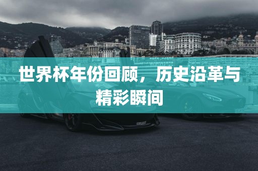 世界杯年份回顾，历史沿革与精彩瞬间