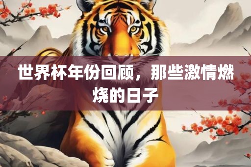 世界杯年份回顾，那些激情燃烧的日子
